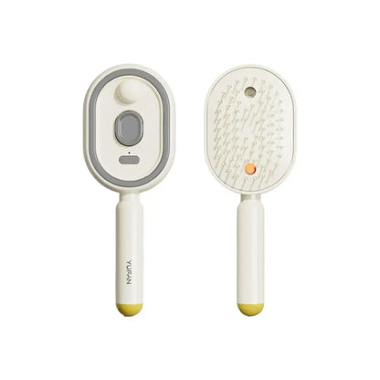 Daily Steam Brush