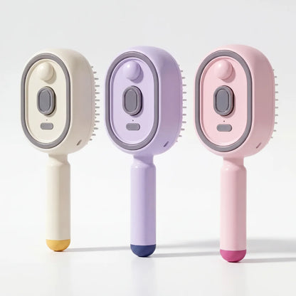 Daily Steam Brush